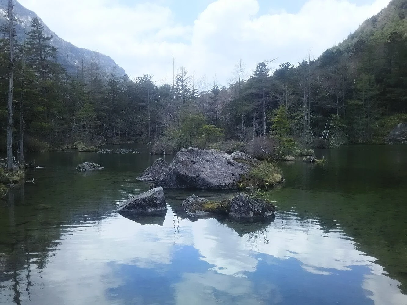 ブログ画像