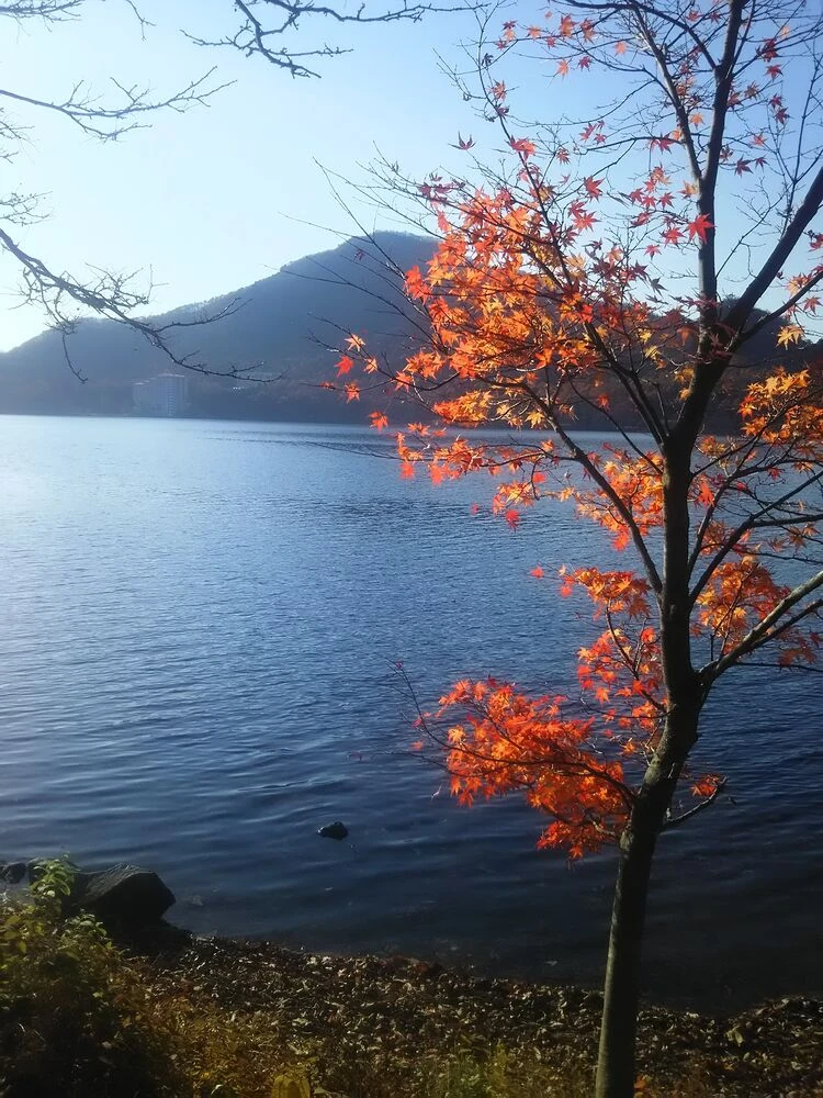 ブログ画像