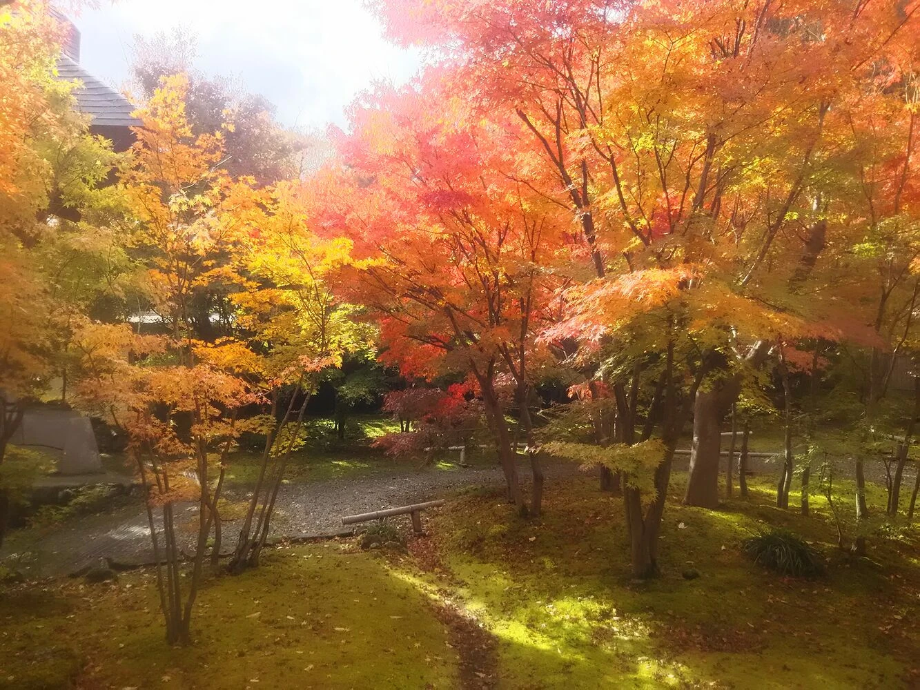 ブログ画像