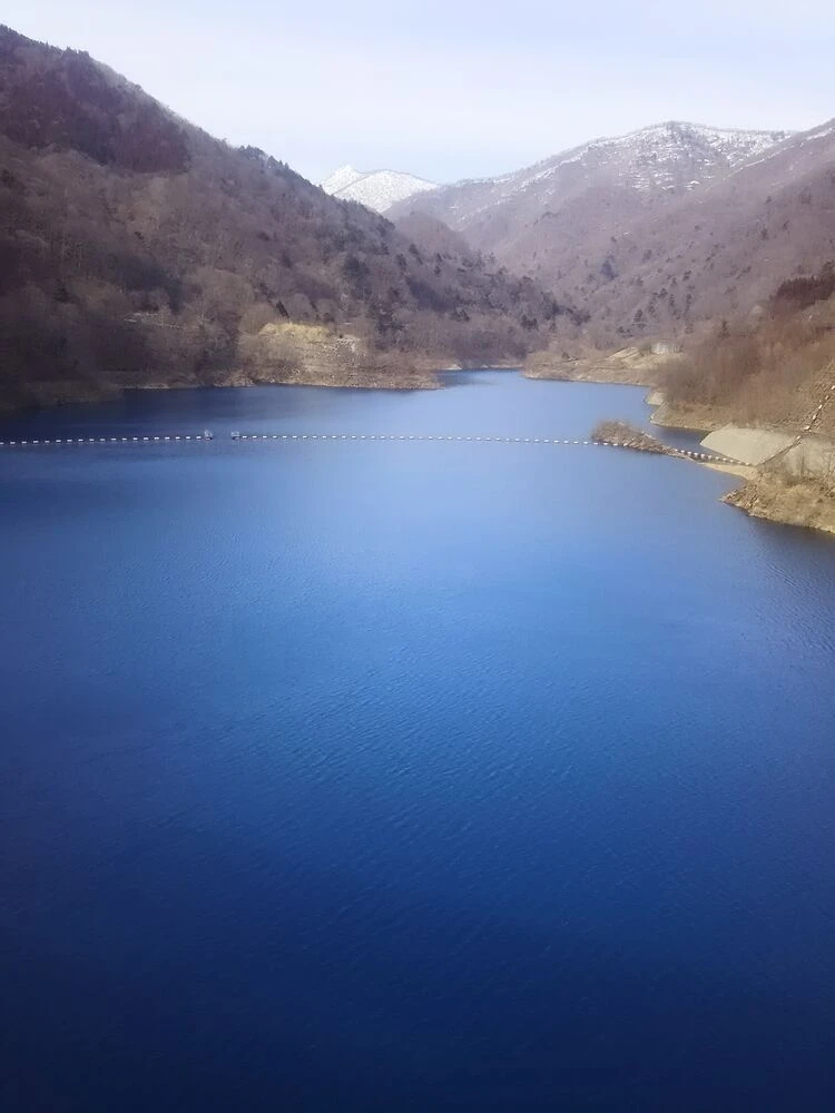 ブログ画像