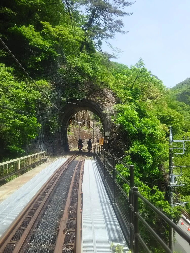 ブログ画像