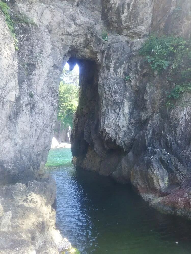ブログ画像