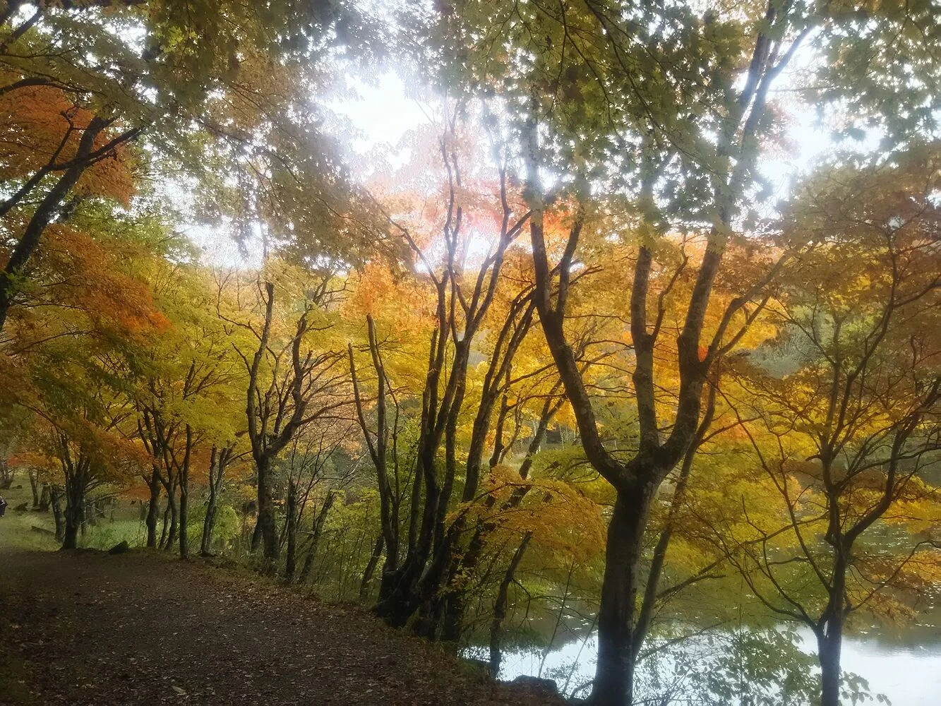 ブログ画像