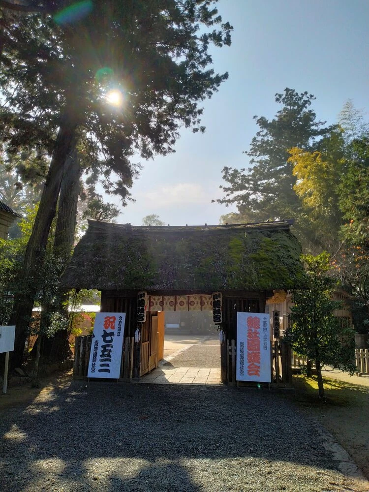 ブログ画像
