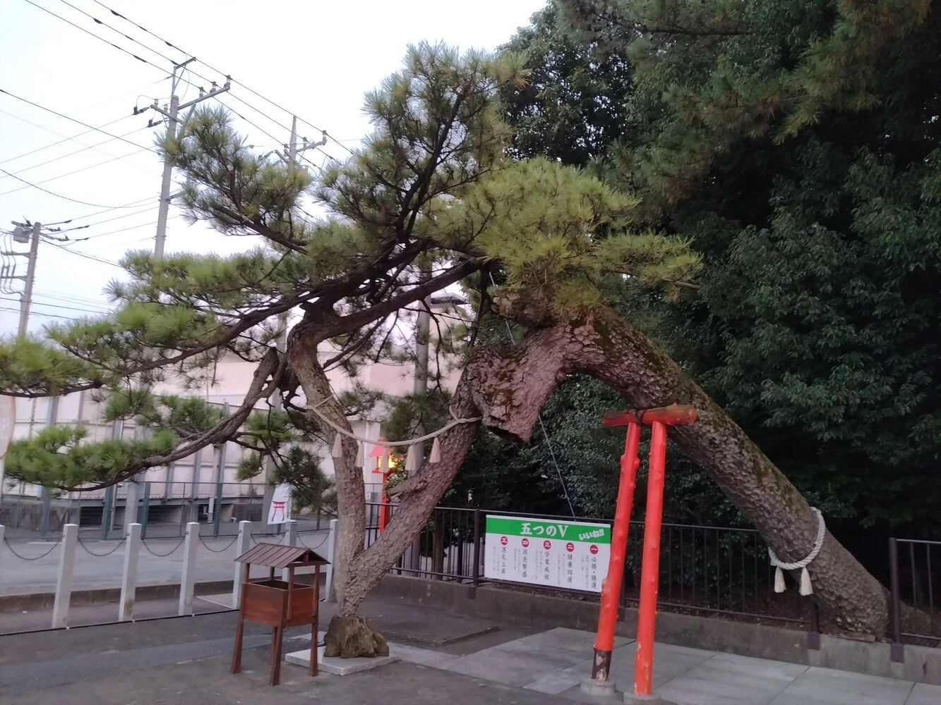 ブログ画像