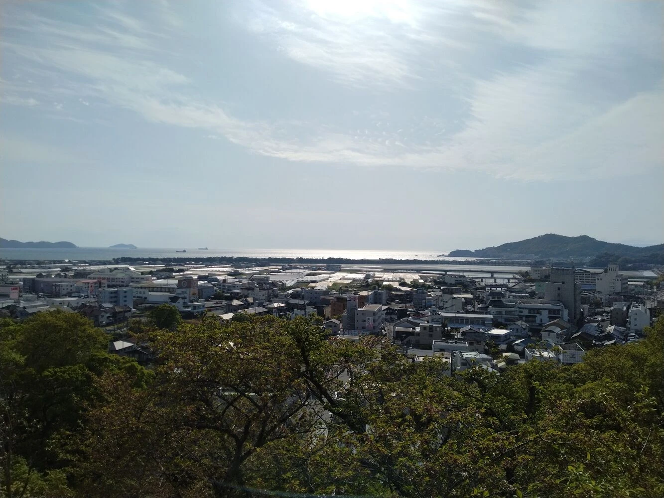 ブログ画像