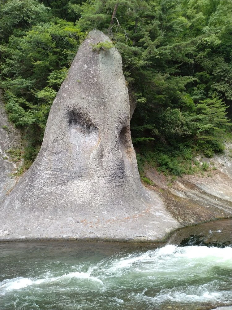 ブログ画像