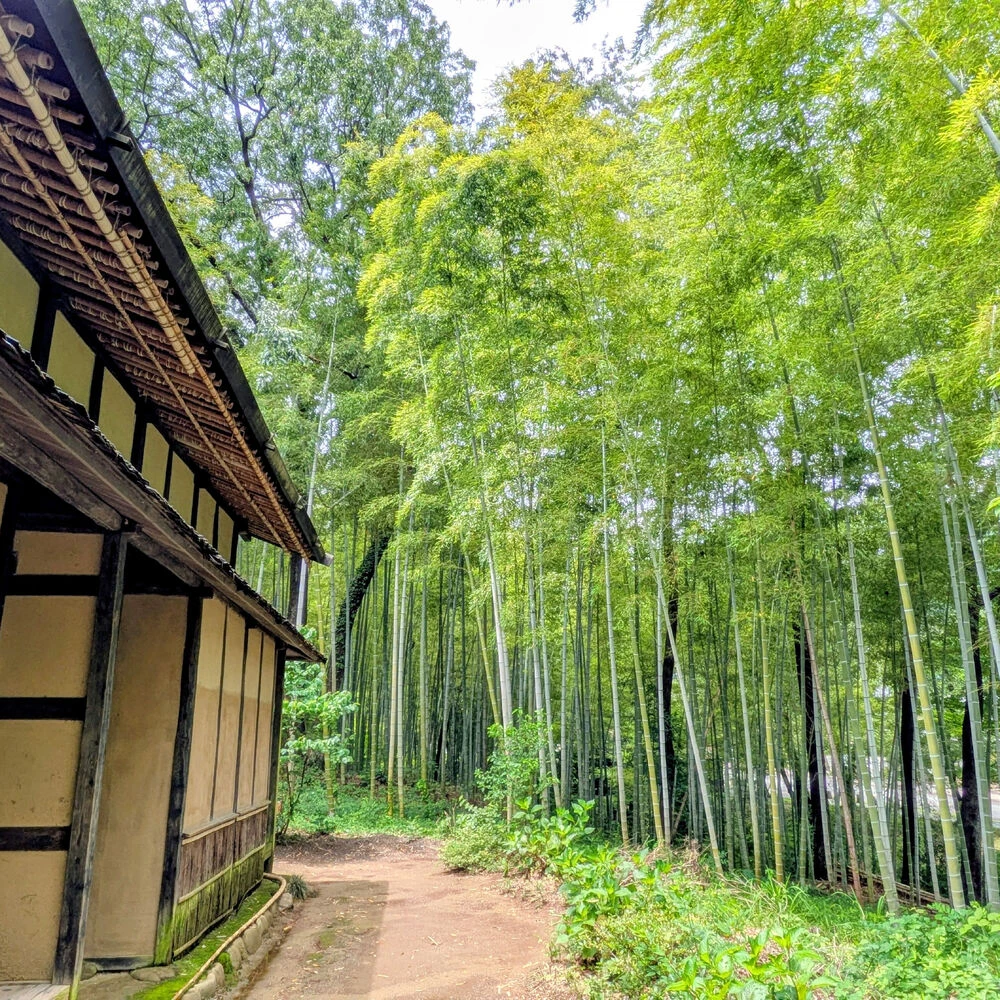 ブログ画像