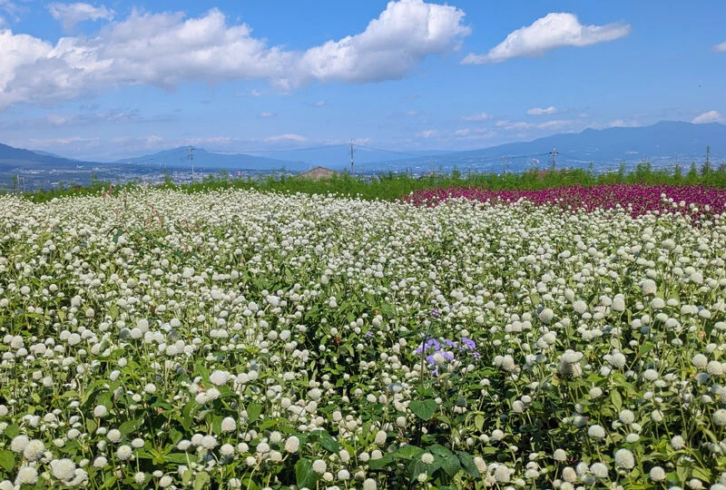 画像3323：【心の状態が不安定になることが多い人の救いとなることとは？】
