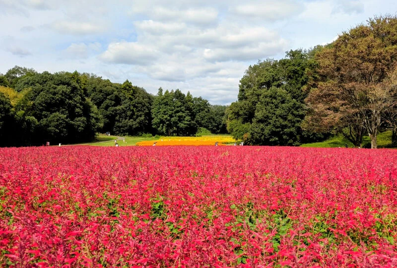 画像3343：【誰かのことを繰り返しネガテイブに思うことで・・・】