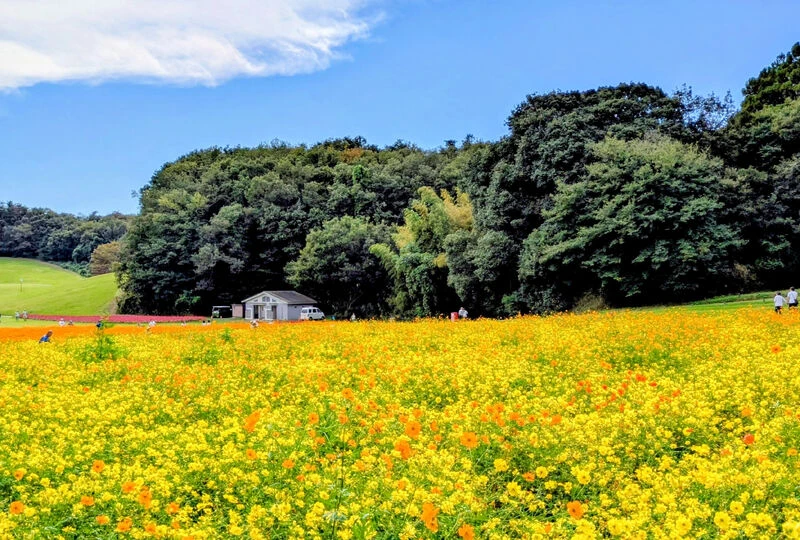画像3346：【いつの間にか心の中に鬼が住み着いていることはないでしょうか