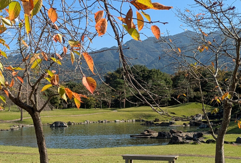 画像3372：【普段自分がつながっているもの】