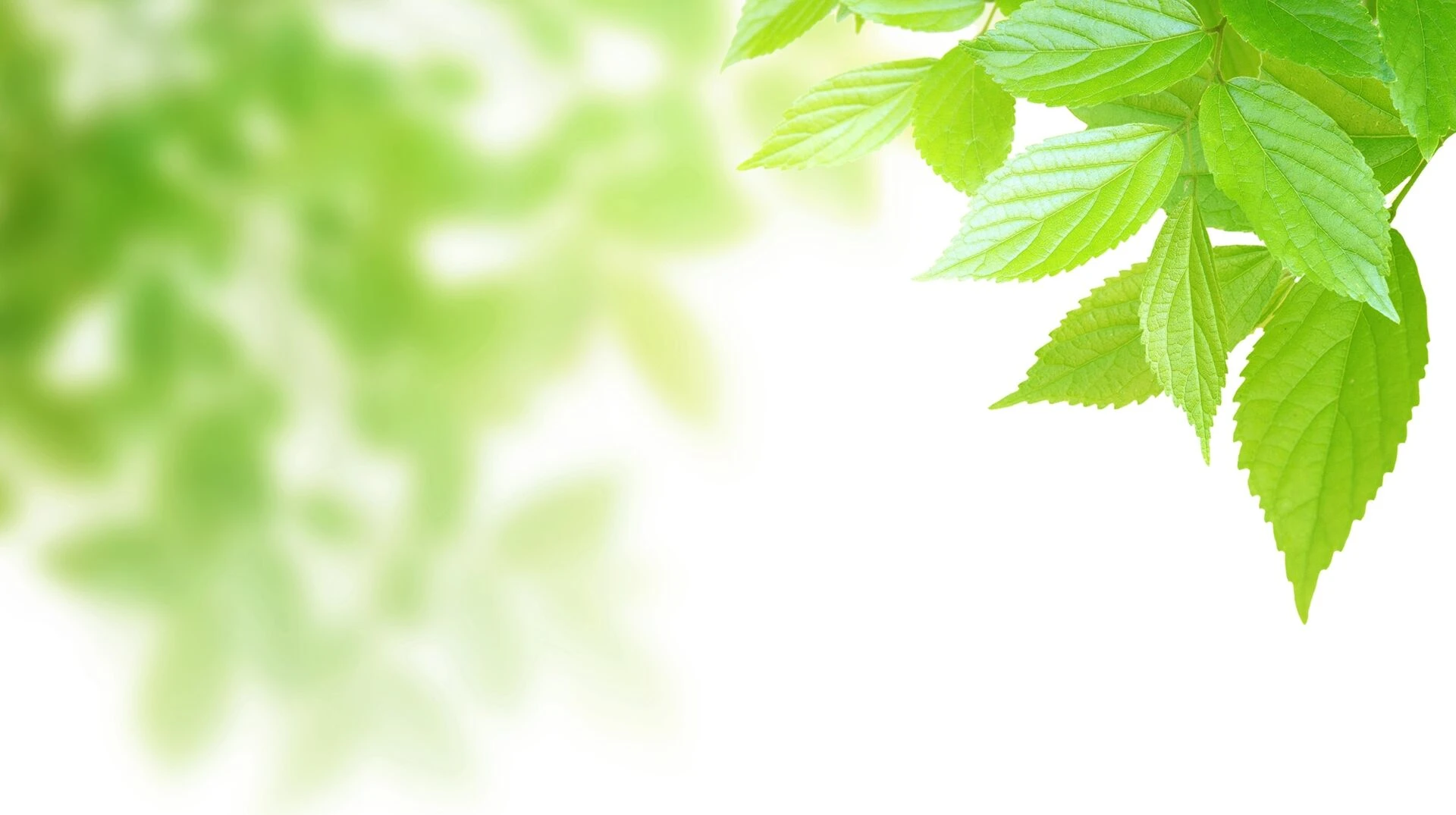 AdobeStock_29098778