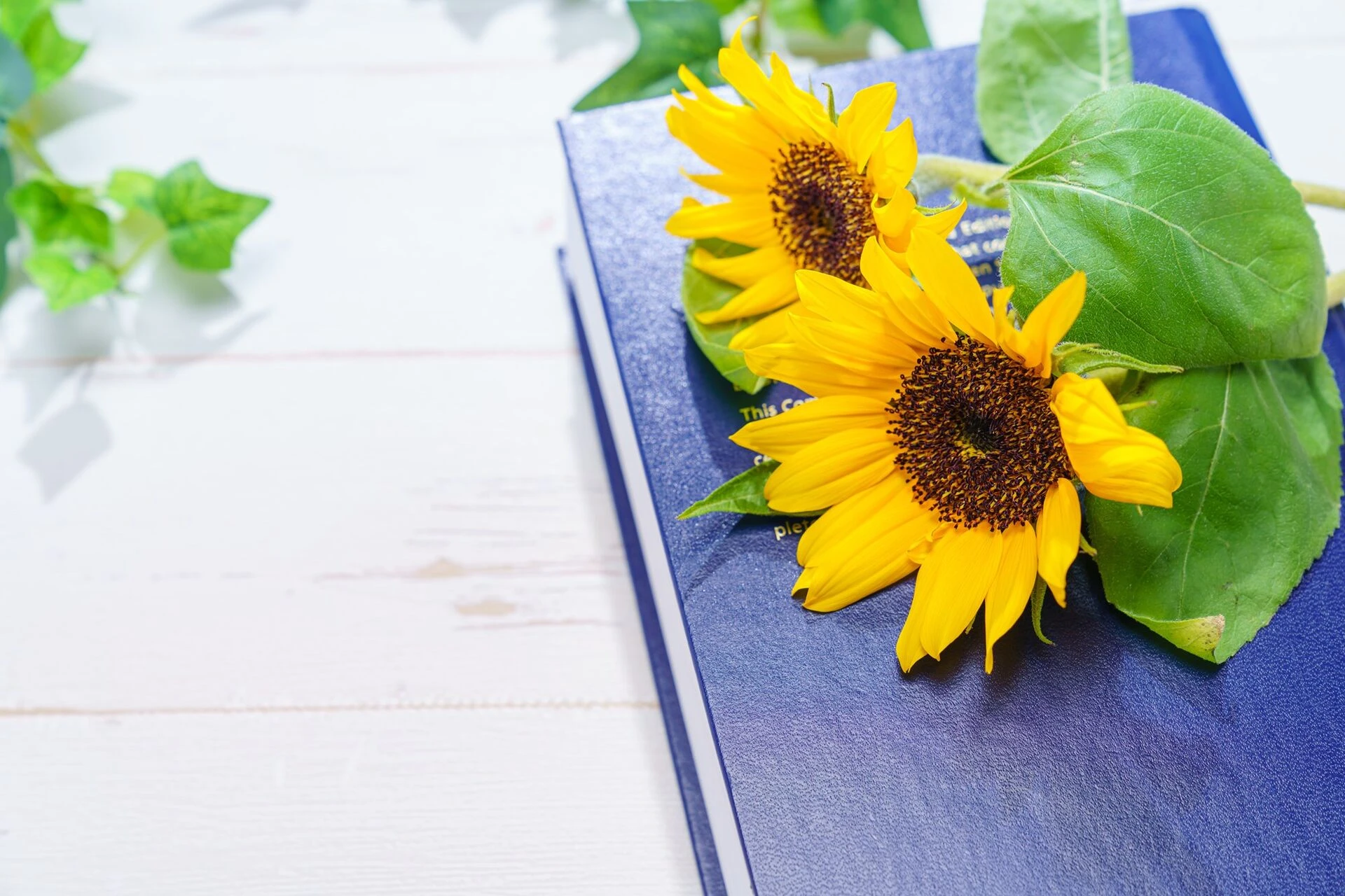 AdobeStock_270205788