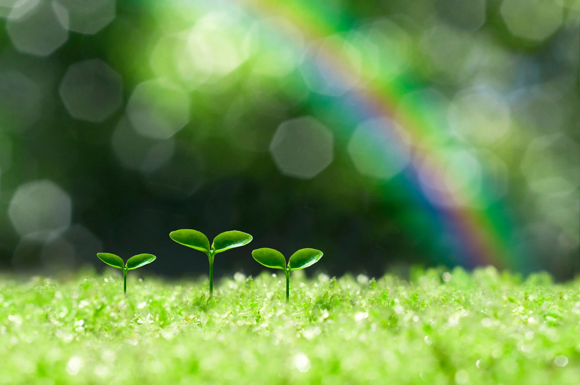 AdobeStock_105994248